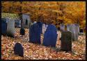 Historic cemetary in Ipswich, Massachusetts (US). It was a rainy evening. Some of the trees are a bit blurry because the breeze moved them during the long exposure.