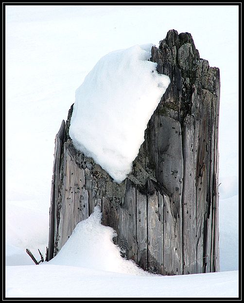 A snow covered stump in a field. The stump has been here for many years and is very weathered. I took this after sunset, hence the long exposure. Adjusted levels to make the snow white. Some sharpening and cropping.