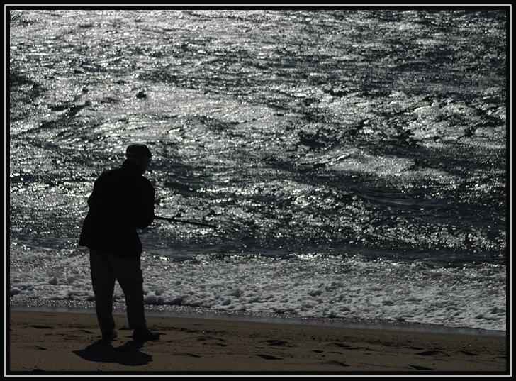 I liked the silhouette against the bright glare off the water. Taken on the Cape Cod National Seashore in Massachusetts (US).