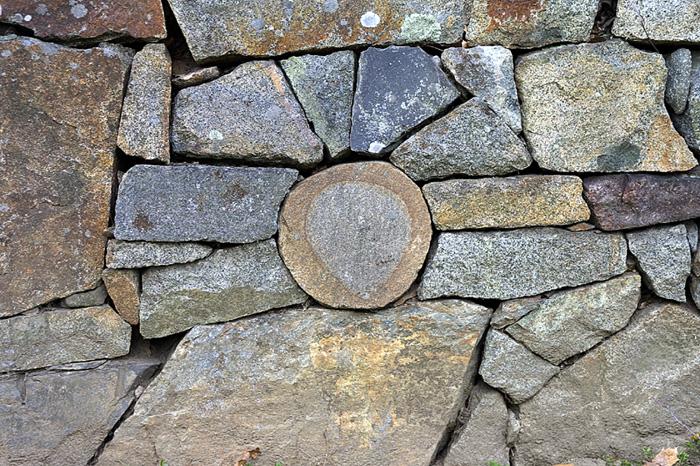 This is a small part of an old rock wall on the grounds of Maudsley State Park in Newburyport, Massachusetts.