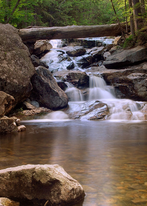 A small waterfall that passes under a fallen tree and empties into a pool. This is in Franconia Notch in New Hampshire (US).