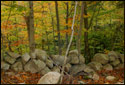 An old New England stone wall running through the woods in the Autumn.