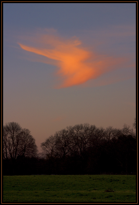 A cloud lit by the sun which had already dropped below the horizon. The tree line is in silhouette, but there is still some color left in the field in the foreground. Taken in Appleton Farms in Ipswich, Massachusetts (US).