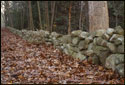 An old stone wall running through Appleton Farm in Ipswich, MA (US). The rocky soil of New England gave early farmers plenty of material for building these walls. They can be seen in almost any wooded area in the region. There is a thick foreground of dead oak leaves. Taken shortly after sunset.