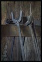 These are replicas of tools used in the Saugus Iron Works, the oldest successful iron works in North America. The Iron Works was in production from 1646-1668. These tools were located in the Forge building. 