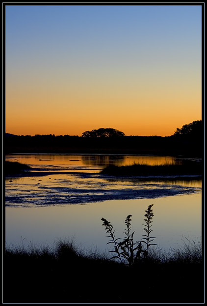 A colorful scene in the salt marsh in Rowley, Massachusetts (US) about 15 minutes after the sun set. The tide was going out, so the tidal pools were not full. The flowers silhouetted in the foreground are Goldenrod.