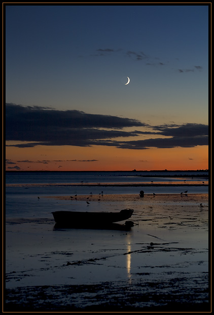 A small boat, the moon, and several seagulls in the sunset at low tide in Provincetown, Massachusetts (US).