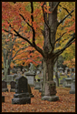 Tombstones and autumn trees. The colors may look overly saturated, but it was actually raining at the time. The rain and low light level brought out the color.